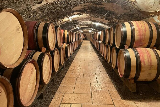 Immersion Domaine E.GUIGAL Visit wine cellars and tasting - Is It Worth the Price?