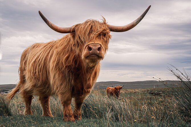 Isle of Skye Day Tour from Fort William - What’s Included and What’s Not?