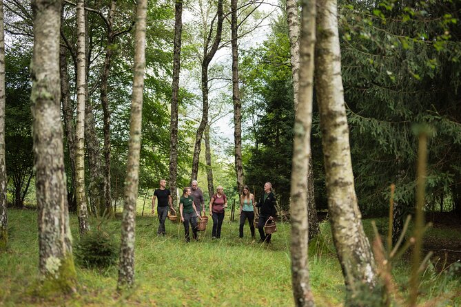It Smells Like Mushrooms - Why This Tour Offers Great Value