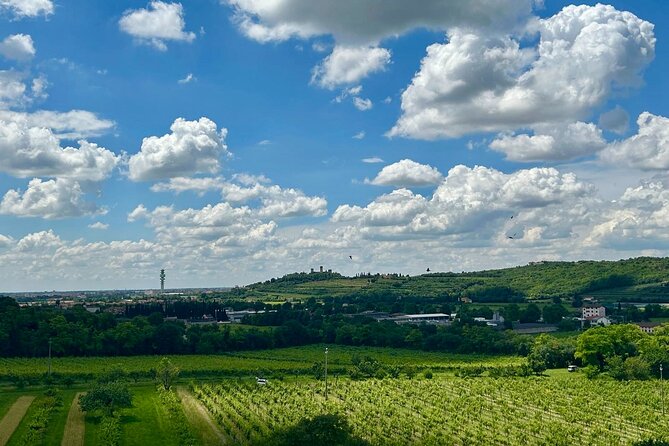 Italian cooking lesson in the hills of Verona - Pricing and Value