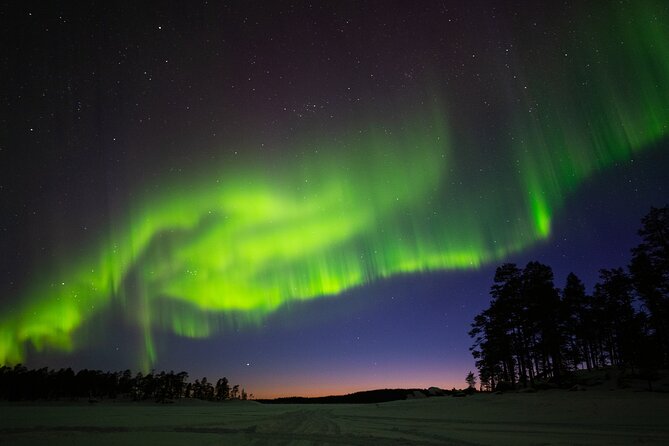 Ivalo: Wilderness Adventure by Snowmobile Sleigh - Final Thoughts