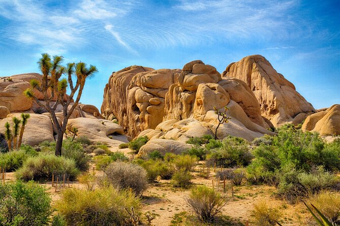 Joshua Tree's Hidden Valley Self-Guided Walking Tour - Practical Details and Experience Quality