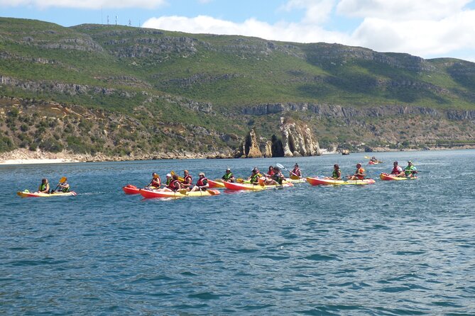 Kayak and Snorkeling Adventure in Arrabida - Snorkeling in the Parque Marinho Luiz Saldanha