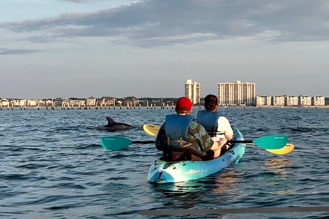 Kayak Dolphin Experience in Virginia Beach Must know how to swim - The Paddling Experience: What to Expect