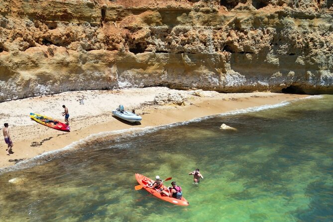 Kayak Experience with a Local - What to Expect on the Day