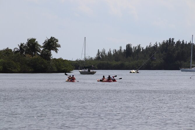 Kayak Rental in Vero Beach - Why This Experience Offers Great Value