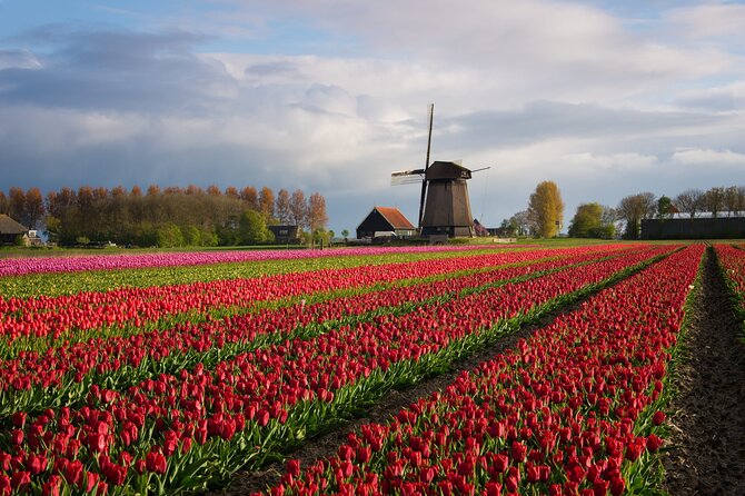 Keukenhof Tulip Garden Tour - Who Should Consider This Tour?