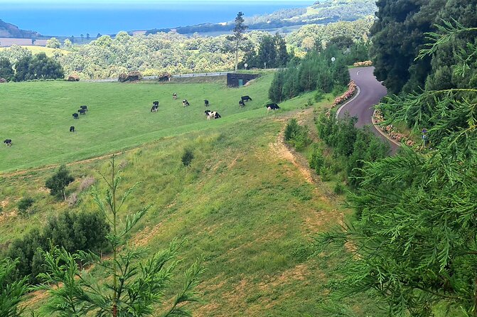 Lagoa do Fogo and Ribeira Grande Half Day Private Tour - Transportation & Guide
