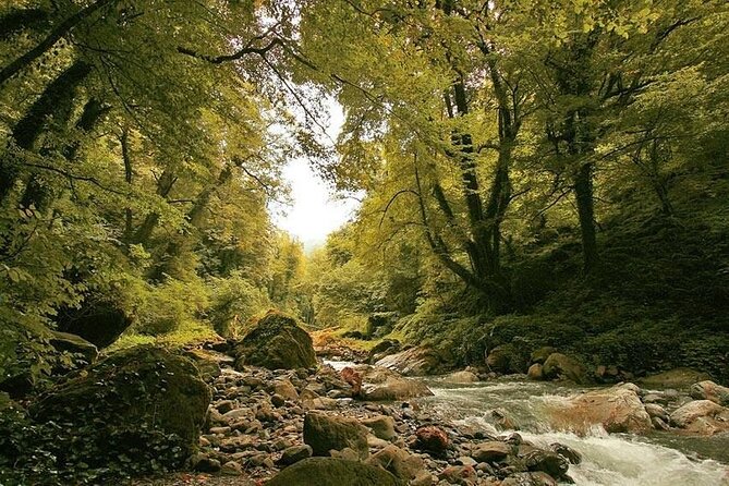 Lagodekhi - A day hiking from Tbilisi - In-Depth Look at the Tour