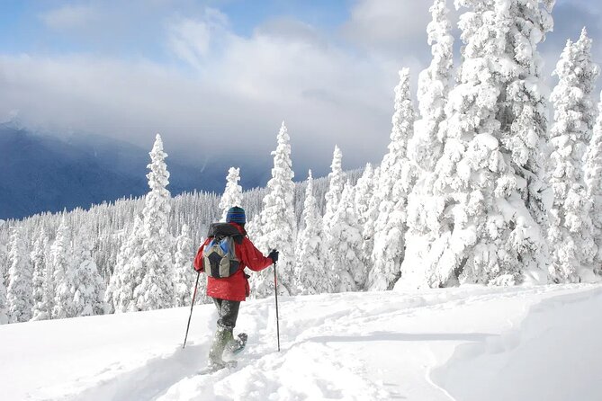 Lake Tahoe Snowshoe Rental Packages - Value for Money