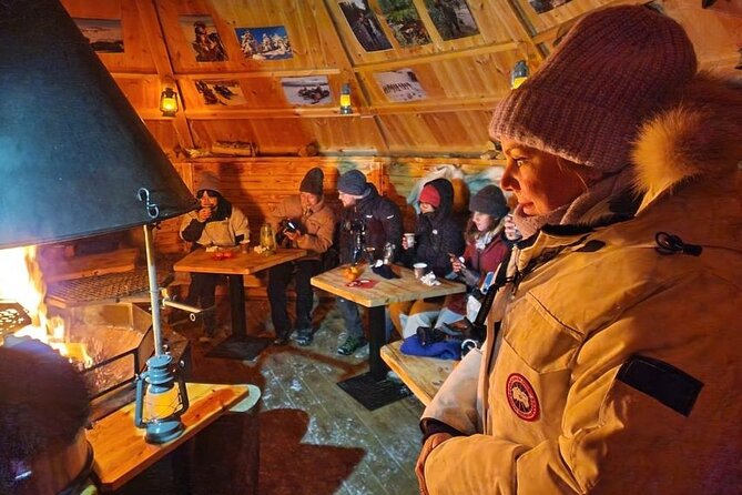 Lapland In A Day - Reindeer, Sledding, Snowmobile & Nature - Practical Insights & Value