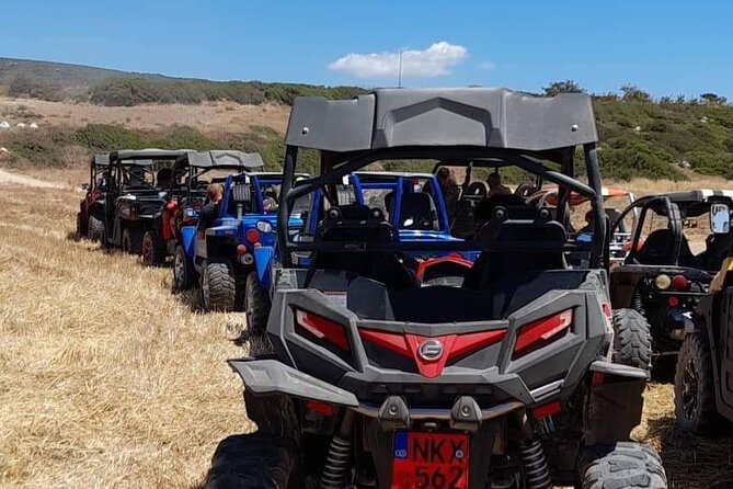 Lara Bay & Adonis Falls Quad & Buggy Tour - The Off-Road Experience