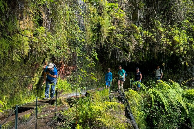 Levada do Rei (PR18) - Through Madeira's Majestic Laurissilva - The Sum Up