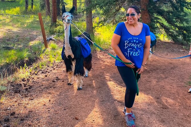 Llama to Lunch in the Rocky Mountains - Practical Details and Considerations