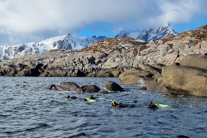 Lofoten Unique Snorkeling Experience in Dry Suit - The Value and Pricing
