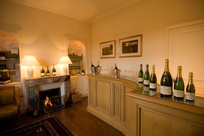 Loire Valley Chambord Castle and Wine Tasting from Paris - Who Should Consider This Tour?
