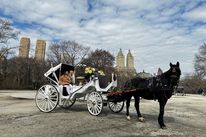 Luxury Horse and Carriage Tours in Central Park - Is it Worth the Price?