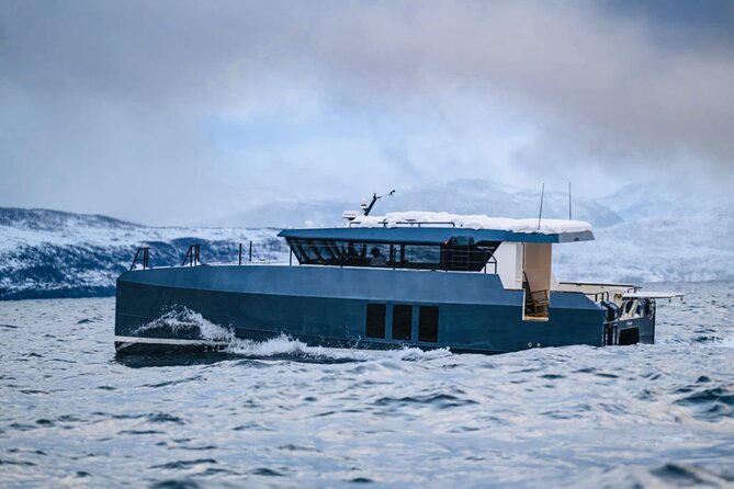 Luxury Whale Watching From Tromso - Small group and local guide - Practical Details and Tips
