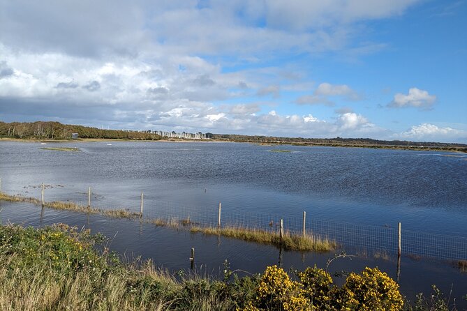 Lymington Wildlife Discovery Walk - Value and Pricing: Is the Experience Worth It?