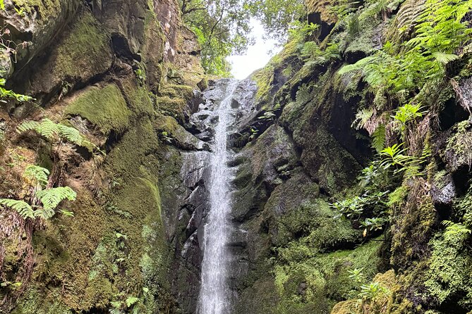 Madeira Off-Road 4x4 Jeep Adventure Private Full day Tour - A Detailed Breakdown of the Itinerary
