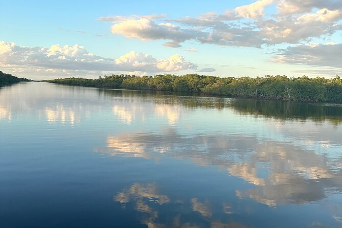 Mangrove and Gulf Excursion Tour - The Itinerary Breakdown: What to Expect
