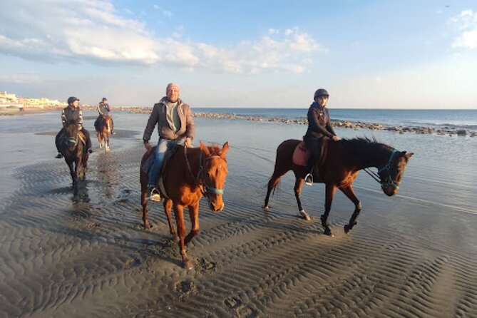 Middle day out of Rome on Horseback with meals included - Authentic Experiences and Reviewer Insights