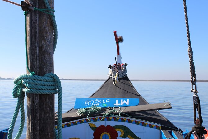 Moliceiro boat trip, with experience in bivalves harvesting - Why the Moliceiro Boat Trip is Worth Considering