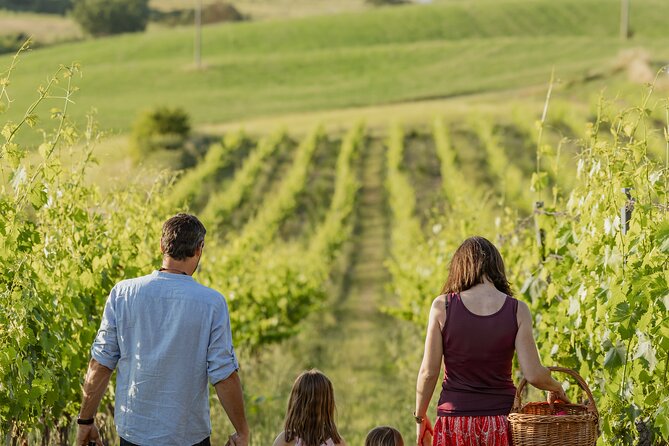 Montalcino: exclusive picnic in the vineyard with wine basket - Final Thoughts
