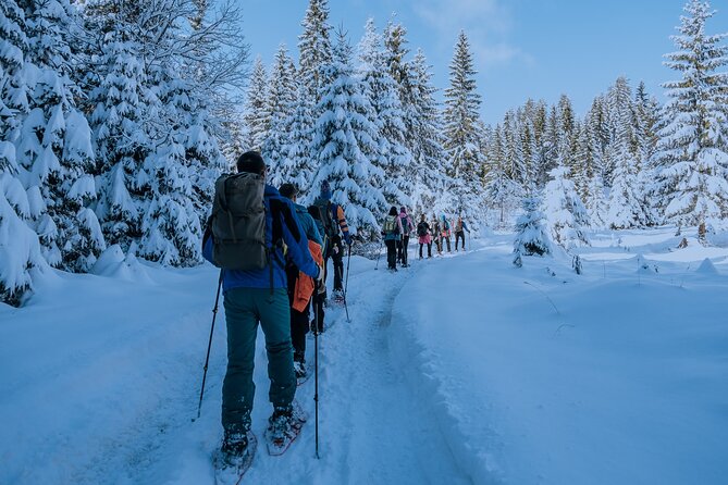Montenegro Snowshoeing Durmitor - Why This Tour Excels in Value