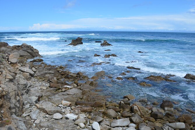 Monterey 1-Day Tour - Exploring Pebble Beach: More Than Just a Golf Destination