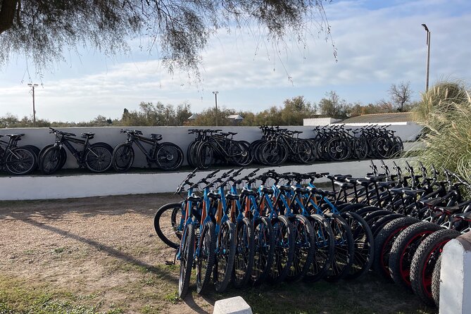 Mountain bike rental in Camargue - What Makes This Experience Stand Out?