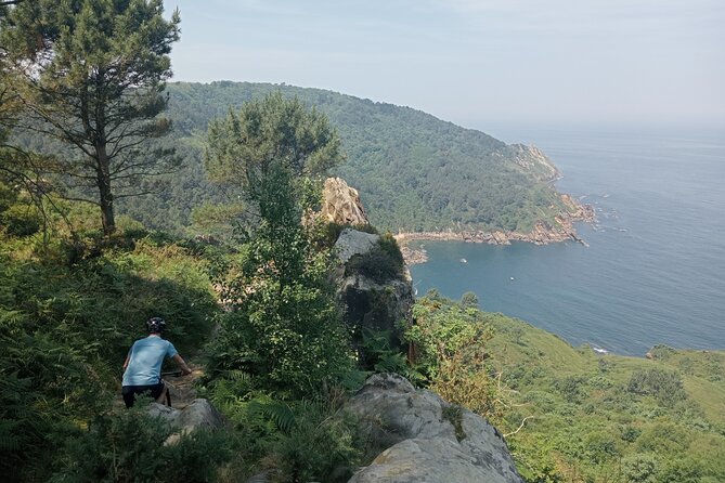 Mountain Bike Small Group Tour in San Sebastian - Insights from Reviews