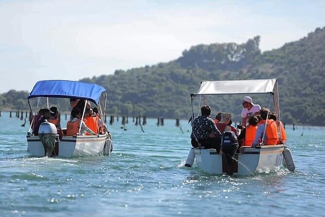 Mussel Sailing Tour with Food and Drink Tasting in Albania - What’s Included and What to Keep in Mind