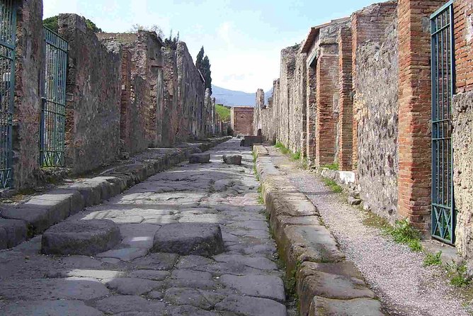 Naples Shore Excursion: Pompeii Half Day Trip from Naples - Why this tour is perfect for certain travelers