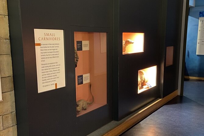 Natural History Museum Self-guided Tour for Kids in English - Practical Considerations: Value, Duration, and Accessibility