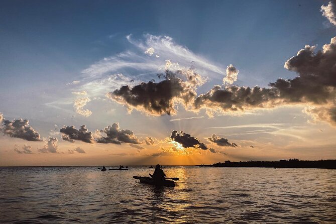 New Orleans Bayou Adventure: Kayak Rental - Booking and Check-in Process