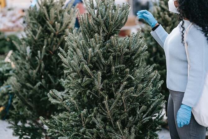 New York City's Iconic Christmas Tour - Practical Details and What to Expect