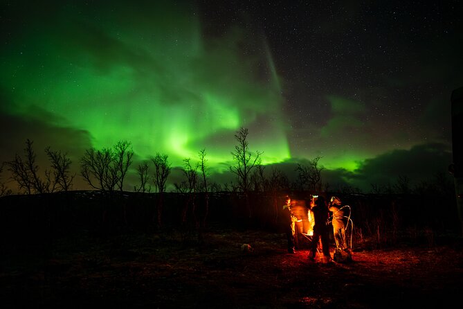 Northern light hunt in Tromsø. WiFi included - Duration and Timing