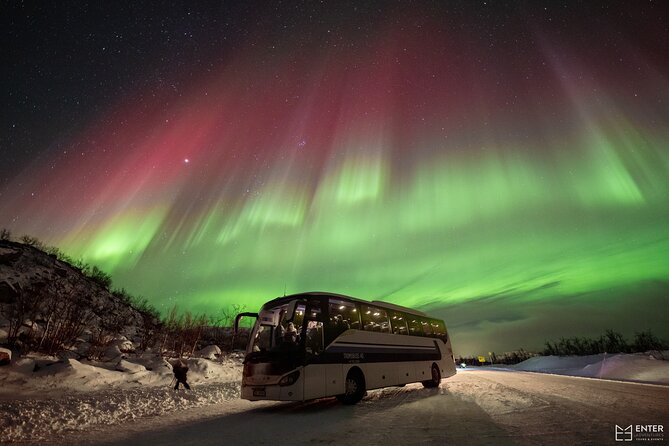 Northern Lights Guided Bus Tour with Snacks Hot drinks - Is This Tour Worth It?