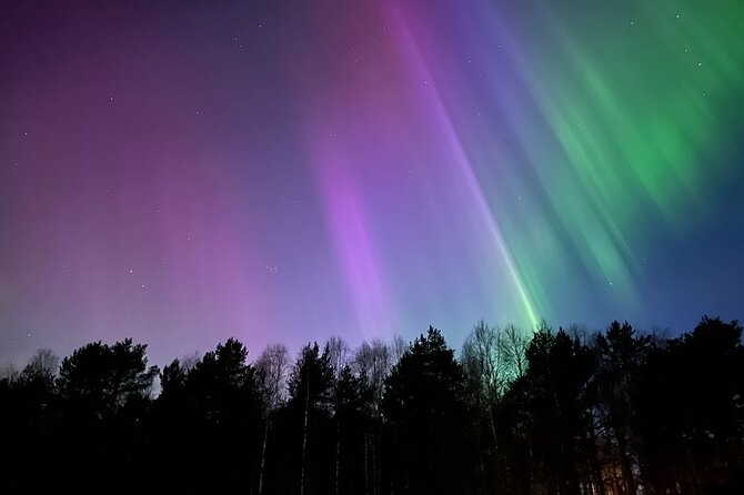 Northern Lights Hunting of Rovaniemi - Why This Tour Offers Good Value