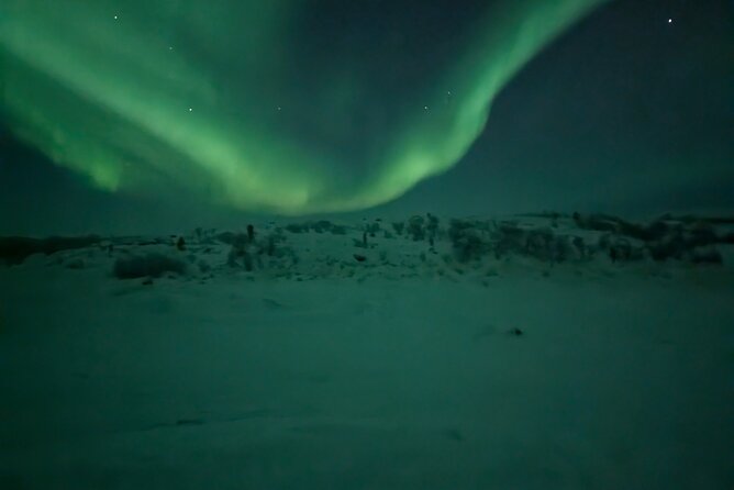 Northern Lights Minibus Chase Max 16 Person In Group - The Itinerary: What Truly Makes the Night Special