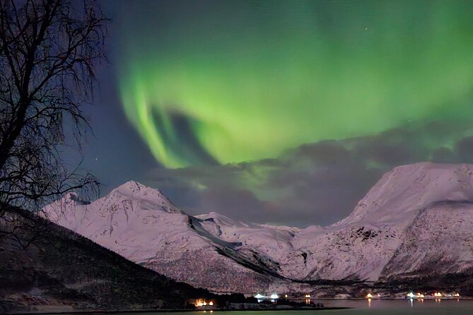 Northern Lights Tour, Tromso, Local Guide, Private Basecamp - Transportation, Duration, and Small Group Benefits
