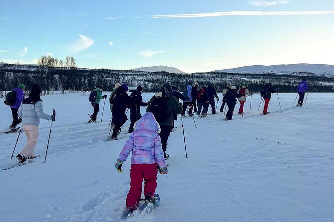 Norway Troms Snowshoe Activity with Guided Tour - The Practical Aspects: Logistics, Price, and Comfort