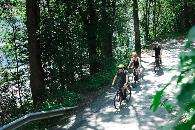 Olden: Fjord e-bike tour - Final Thoughts