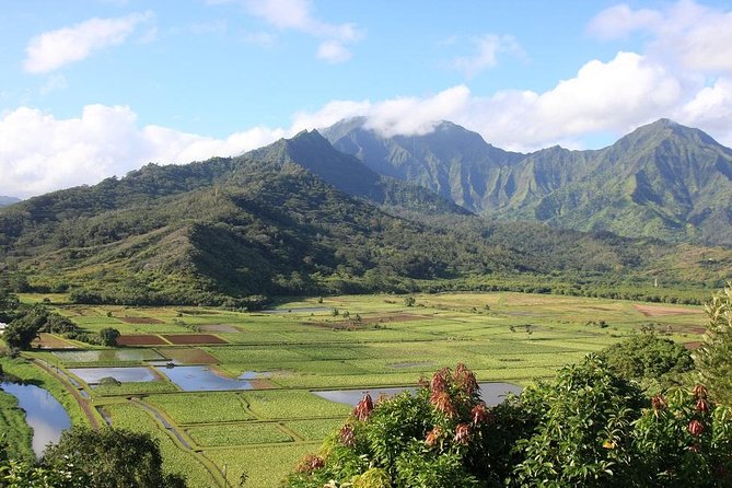 One-Day Tour Hawaii Movie Tour: Island Hopping from Oahu to Kauai - What to Expect: Experience Breakdown