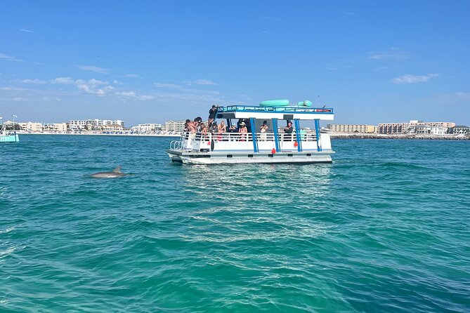 One Hour Harbor Shared Tour with Dolphin Watching - The Sum Up