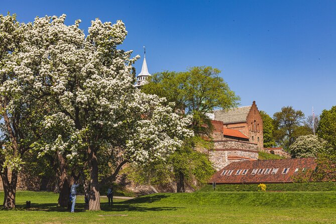 Oslo Private Tour: From The Opera to Vigeland Sculpture Park - A Deep Dive into the Oslo Private Tour