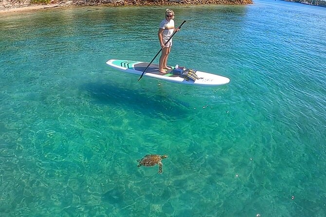 Paddle Boarding Activity to Peanut Island - Why This Tour Offers Great Value