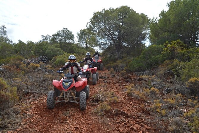 Paderne Adventure Quad Ride - The Value of Guided Safety and Insights