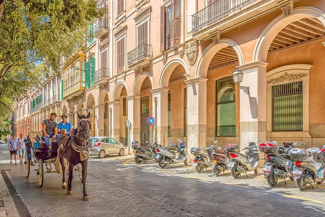 Palma de Mallorca Private Walking Tour with tour guide - The Practicalities: What to Expect